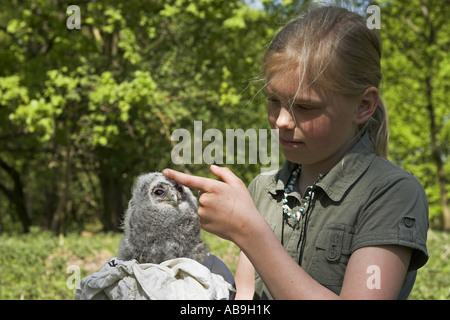 Eurasische Waldkauz (Strix Aluco), Mädchen mit eurasische Waldkauz Küken Stockfoto