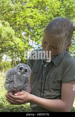 Eurasische Waldkauz (Strix Aluco), Mädchen mit eurasische Waldkauz Küken Stockfoto