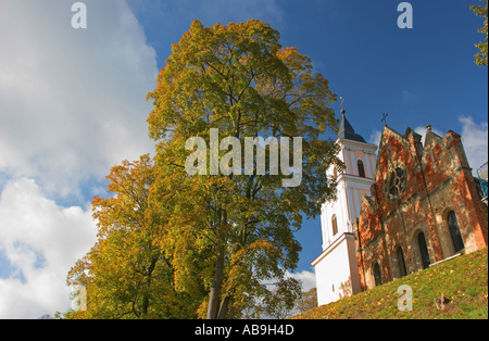 Kirche mit Buche im Herbst, Deutschland, Uckermark, Boitzenburg, Okt 04. Stockfoto