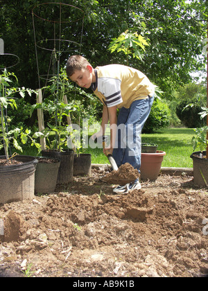 Graben im Garten Stockfoto