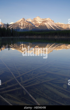 Sonnenaufgang auf der Bogen Range und kristallklare Herbert Lake Banff Nationalpark Alberta Kanada Stockfoto