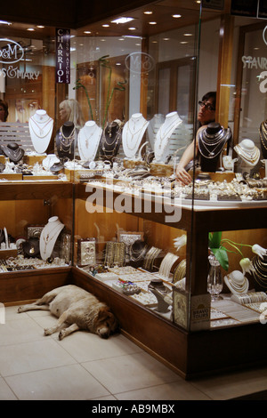 Hund schlafen vor einem Juwelier-Geschäft in Chania, Kreta, Griechenland. Im Shop ist jemand oder etwas im Fenster Stockfoto