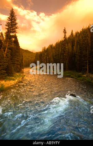 Die schöne Middle Fork von The Salmon River in Zentral-Idaho, Teil von The Frank Kirche River No zurück Wilderness. Stockfoto