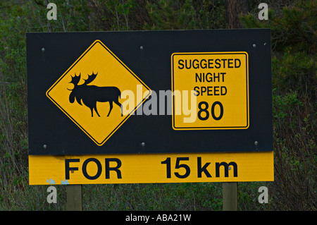 Elch Schild Warnung Stockfoto