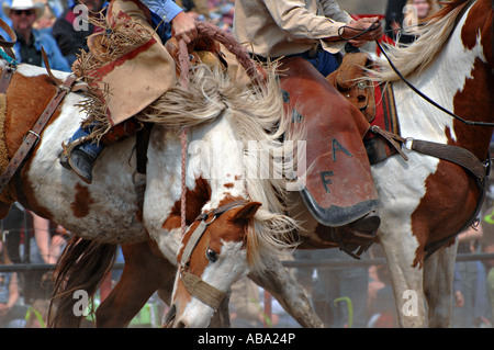 Ein Sattel Bronc Ruckeln Stockfoto