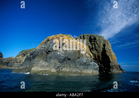 Elephant Rock und Küste von Ramsey Island RSPB Natur Reserve St David s Pembrokeshire Wales UK Großbritannien Stockfoto