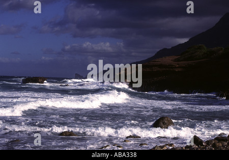 1996-MALLORCA die rauen Tramuntana Berge und Baum bedeckt Nordküste auf der spanischen Insel Mallorca Stockfoto