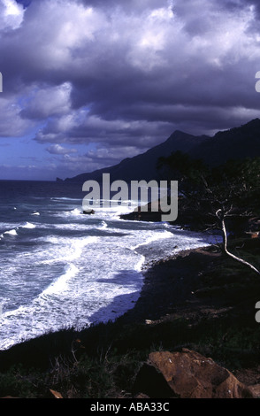 1996-MALLORCA die rauen Tramuntana Berge und Baum bedeckt Nordküste auf der spanischen Insel Mallorca Stockfoto