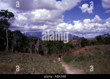 2002 Venezuela einen Blick auf die Gran Sabana eine exponierte ökologisch Sensitve Bereich af Land unterbrochen mit Wasserfällen und Bergen Stockfoto