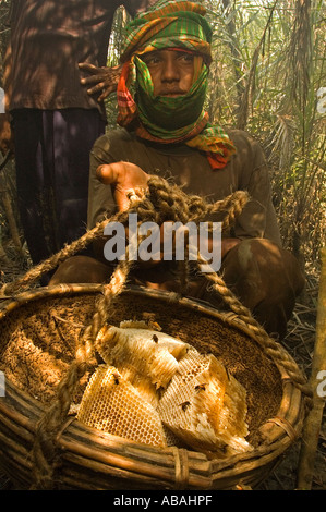 Honig-Jäger sammeln von wildem Honig im Wald der Sunderbans, Bangladesch. Stockfoto