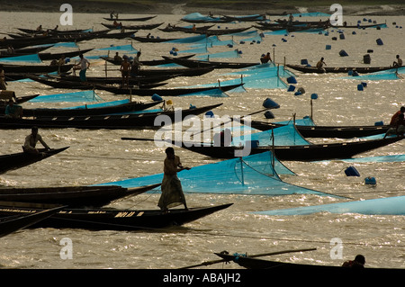 Angelboote/Fischerboote richten Sie ihre Garnelen Larvea (BRJ) Netze in Shibsha Fluss, Bangladesch. Es gibt eine laufende Garnelen Larvea Nachfrage f Stockfoto