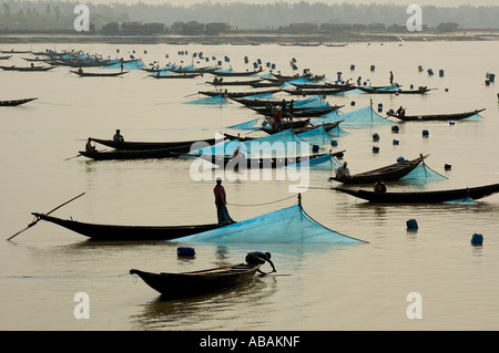 Angelboote/Fischerboote richten Sie ihre Garnelen Larven (BRJ) Netze in Shibsha Fluss, Bangladesch. Stockfoto