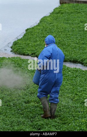 mit was heidelbeeren düngen Purgrün Bio-Kulturheidelbeeren-Dünger 1 Liter main image 1