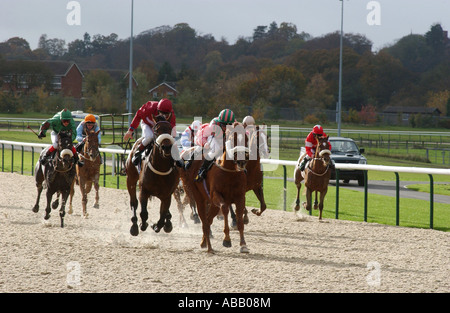 Pferderennen auf alle Wetter verfolgen in Wolverhampton Racecourse West Midlands, UK Stockfoto