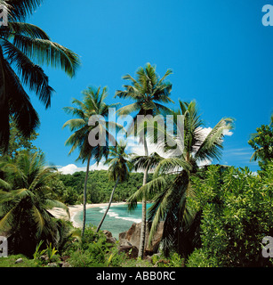 Insel im Indischen Ozean, den Seychellen, Mahe, Anse Takama Strand Stockfoto