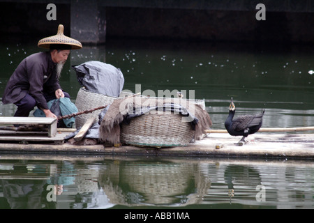 Kormoran Fischer am Fluss Lee in Yangshou China Stockfoto