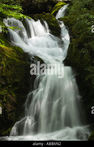 Wasserfall Kaskadierung über Felsen Maus Creek Falls am Big Creek Trail Great Smoky Mountains Nationalpark Tennessee Stockfoto