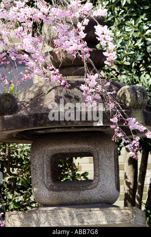Japanische Stein Laterne beim Kirschblütenfest in Kyoto Japan Stockfoto