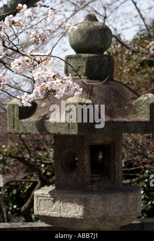 Japanische Stein Laterne beim Kirschblütenfest in Kyoto Japan Stockfoto