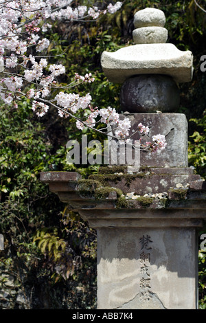 Japanische Stein Laterne beim Kirschblütenfest in Kyoto Japan Stockfoto