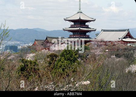 Japanische Pagode in dem Kiyomizudera Tempel-Komplex in Kyoto Japan während der Kirschblüte Festival Stockfoto
