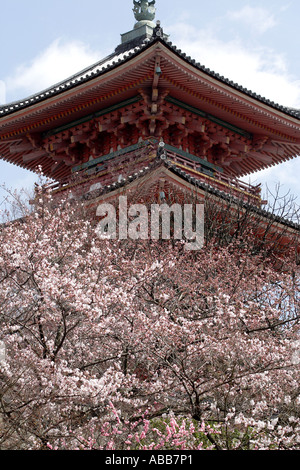 Pagode in dem Kiyomizudera-Tempel-Komplex in Kyoto Japan während der Kirschblüte Festival Stockfoto