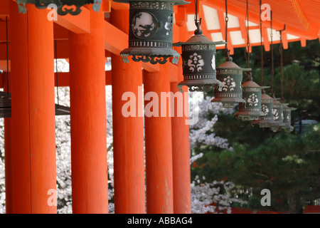 Heian-Schrein, Orange Säulen schwarz Laternen und rosa Kirschblüten, Kyoto, Japan Stockfoto