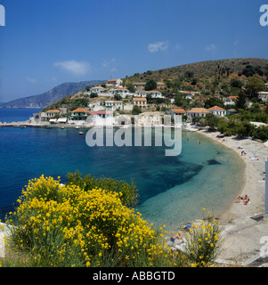 Der Hafen von Assos mit Häuser am Hang und leuchtend gelben Blüten im Vordergrund Kephallonia Insel griechische Inseln Griechenland Stockfoto