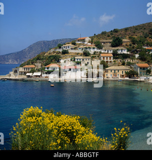 Der Hafen von Assos mit Häuser am Hang und leuchtend gelben Blüten im Vordergrund Kephallonia Insel griechische Inseln Griechenland Stockfoto