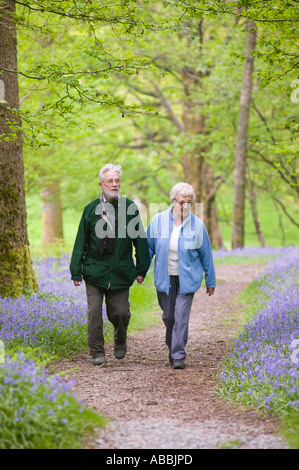 eine ältere heiratete paar zu Fuß in einem Bluebell Holz in der Nähe von Ambleside, Lake District, Großbritannien Stockfoto