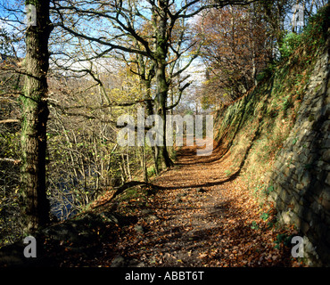 Taff Trail, Quakers Yard in der Nähe von Merthyr Tydfil, South Wales Valleys. Stockfoto