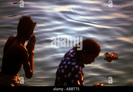 Indische Paare Baden tun Namaskar Gebet zu Sonne in Ganges Fluß Stockfoto