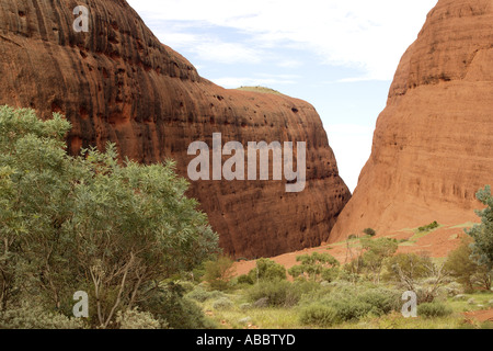 Auf dem Weg zur Walpa Gorge bei Kata Tjuta in die World Heritage Site Uluru (Ayers Rock)-Kata Tjuta National Park, NT, Australien Stockfoto