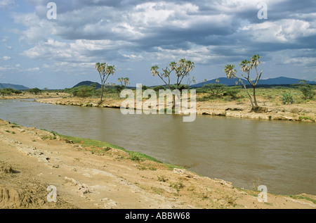 EWASA Nyiro River, in der Nähe von Archers Post, Kenia Stockfoto