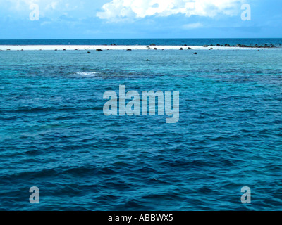 Korallen und Sandbank am Great Barrier Reef [2] Queensland, Australien Stockfoto