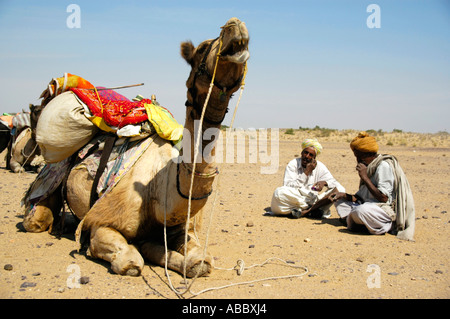 Kamel trekking zwei Kamel Männer sitzen in den Sand neben einer liegenden verpackt Kamel Thar-Wüste in der Nähe von Jaisalmer, Rajasthan Indien Stockfoto