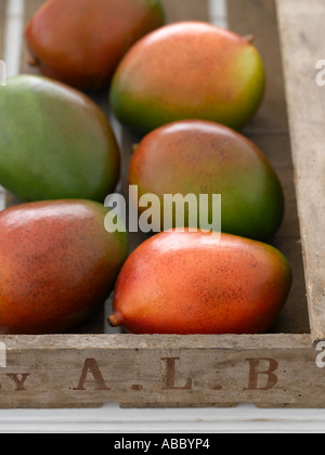 Mangos in Holzkiste - hohe Ende Hasselblad 61mb digitales Bild Stockfoto