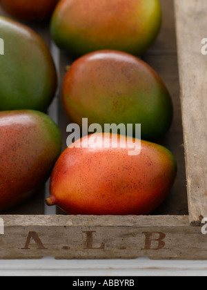 Frische reife Mangos - 61mb Hallo Res Hasselblad pro Digitaldatei Stockfoto