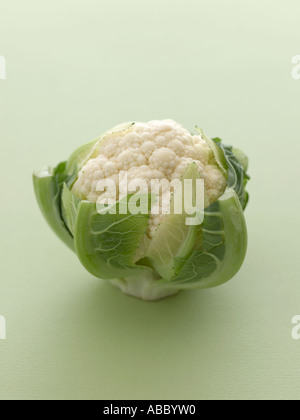 Baby Blumenkohl auf hellen grünen Hintergrund - high-End Hasselblad 61mb digitales Bild Stockfoto