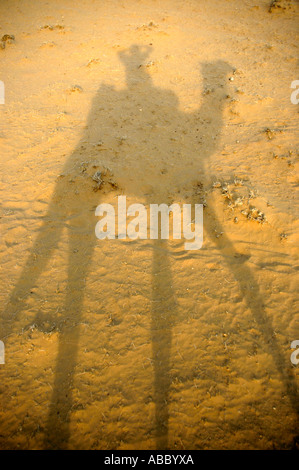 Kamel trekking Schatten eines Reiters auf einem Kamel in Sand in Thar-Wüste in der Nähe von Jaisalmer, Rajasthan Indien Stockfoto