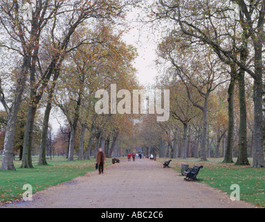 Gehweg in Kensington Gardens London England durch Steven Dusk Stockfoto