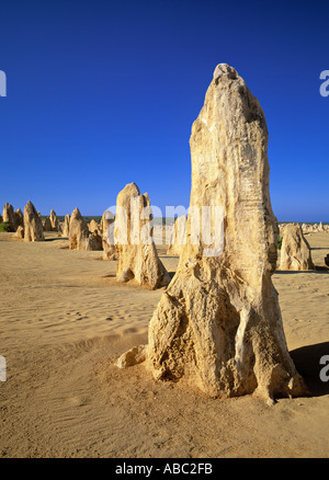Pinnacles desert, Cervantes, Western Australia, Australien Stockfoto