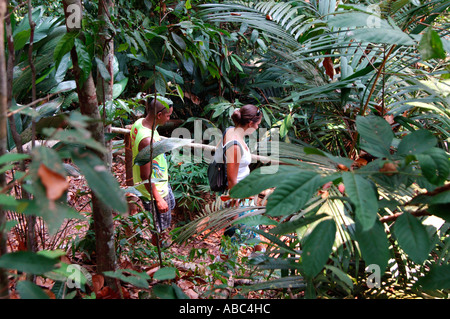 Dschungel Fuß in den tropischen Regenwald Amazoniens Brasilien Stockfoto