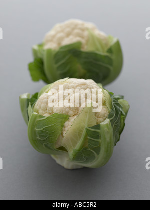 Blumenkohl auf blass grau hinterlegt - hohe Ende Hasselblad 61mb digitales Bild Stockfoto