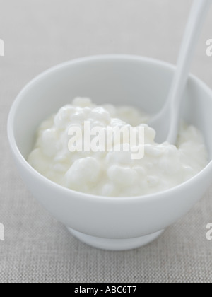 Hüttenkäse in weiße Schüssel auf Leinen - high-End Hasselblad 61mb digitales Bild Stockfoto