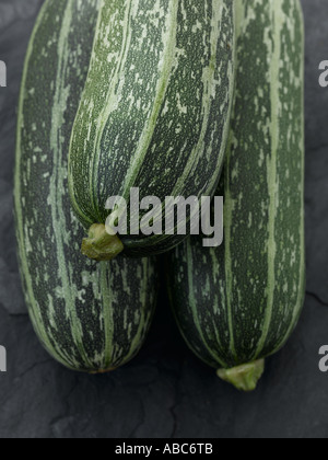 Zucchini auf Schiefer - hohe Ende Hasselblad 61mb digitales Bild Stockfoto