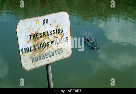 Alligator schwimmen neben einem Warnschild, Louisiana, USA Stockfoto