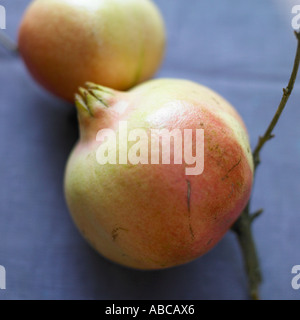 Granatäpfel Stockfoto