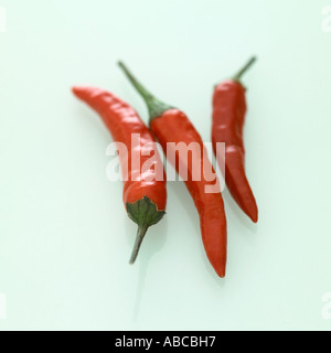 Rote Chilischoten Stockfoto