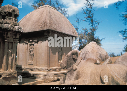 Ansicht von Süden östlich des monolithischen Bull und Draupadi Ratha fünf Rathas Memallapuram Tamilnadu Indien vom 600 A D Stockfoto